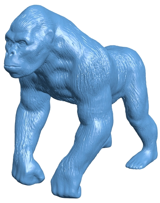 Gorilla