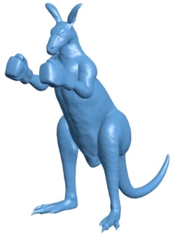 Kangaroo male boxing