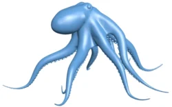 Octopus