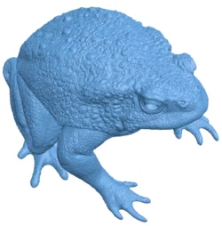 Realistic toad