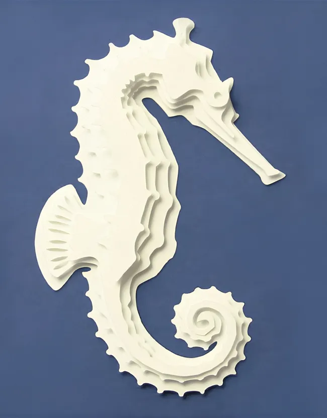 Seahorse