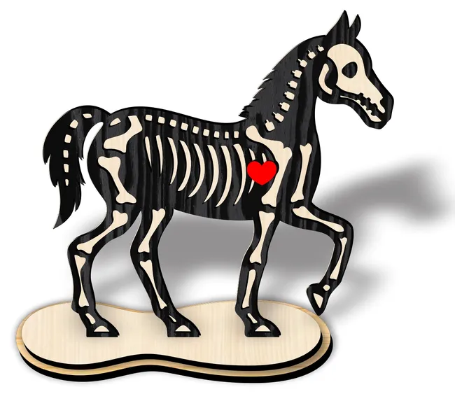 Skeleton horse