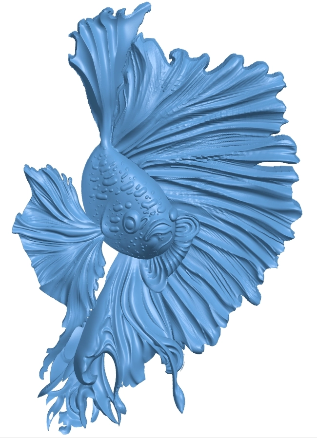 Betta Fish