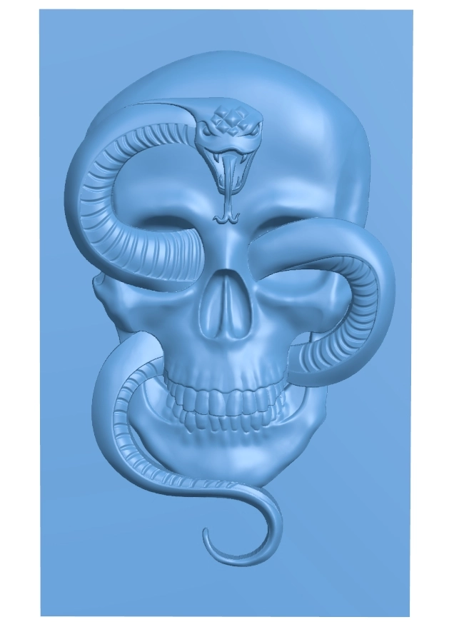 Skull and snake