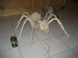 3D Spider