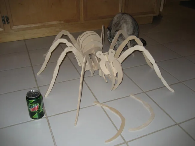 3D Spider