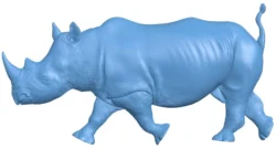 Rhino