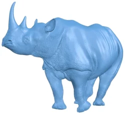 Rhino