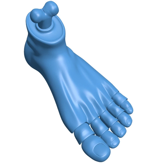 Articulated feet