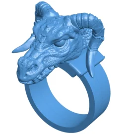 Dragon ring