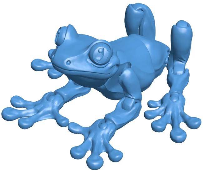 Frog – joint