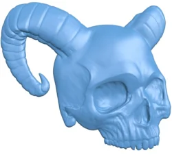 Skull