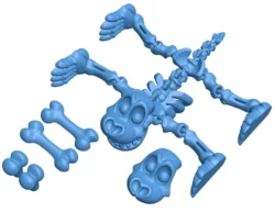 Dog skeleton – joint