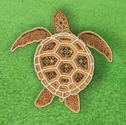 Multilayer Turtle